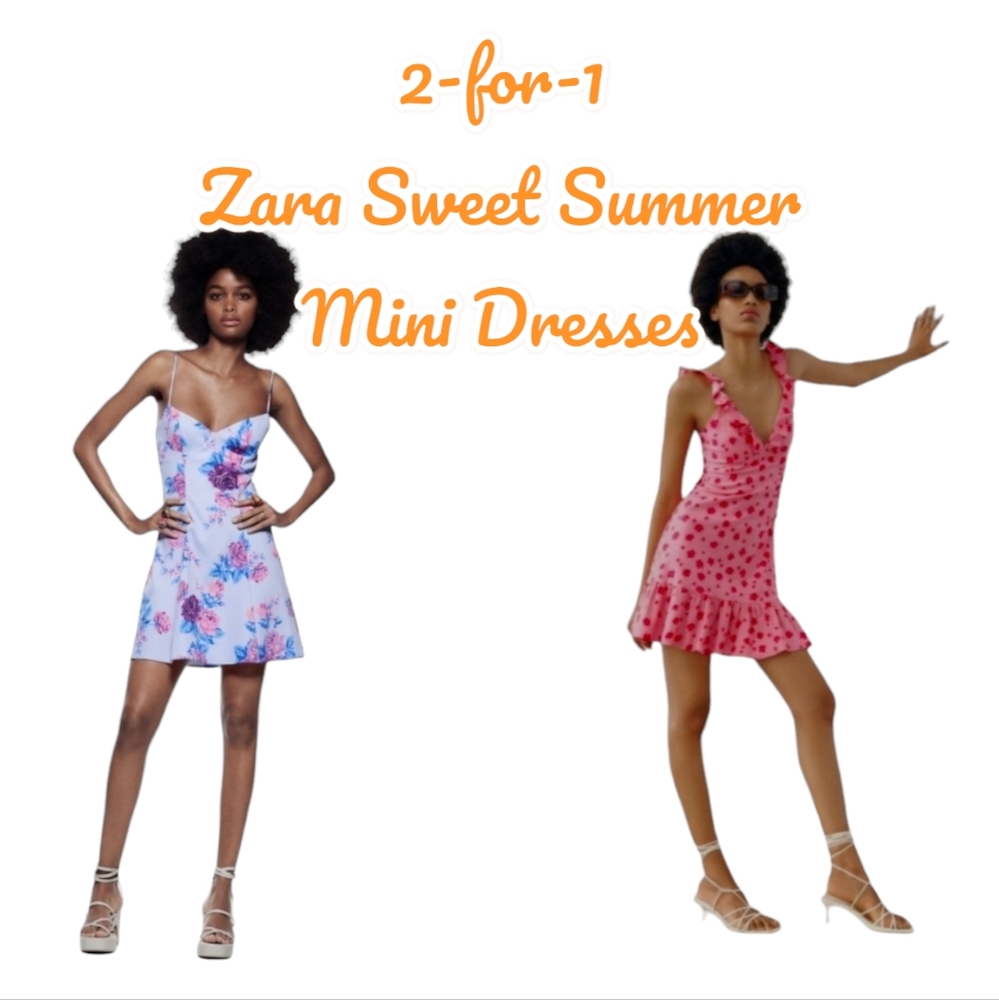 2 for 1 Zara Floral Pink Purple Coquette Mini Dresses both size small